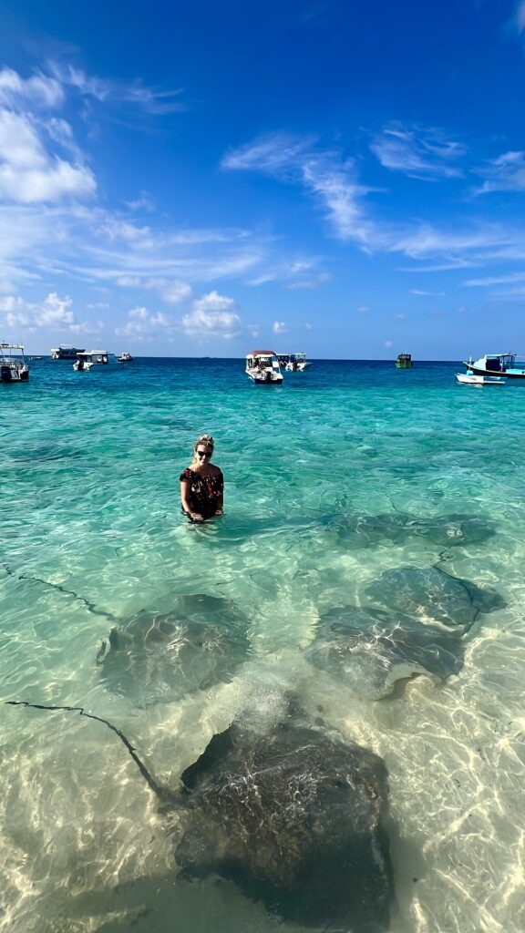 maldives rays