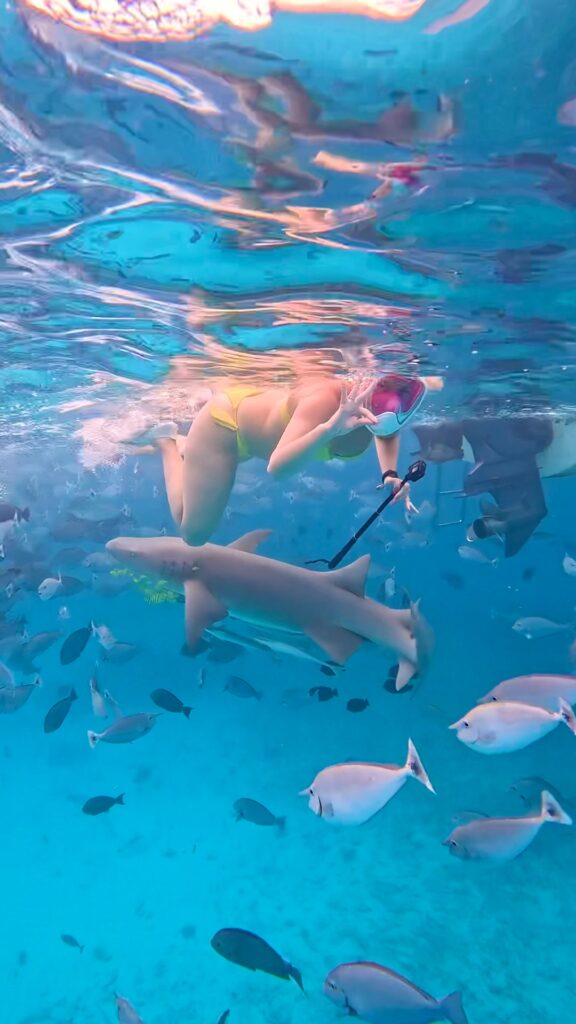 maldives snorkling