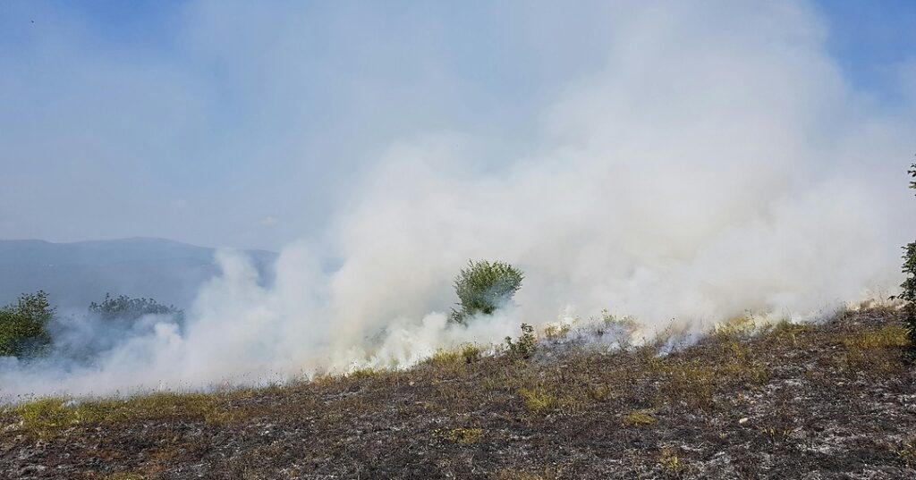 burning season chiang mai